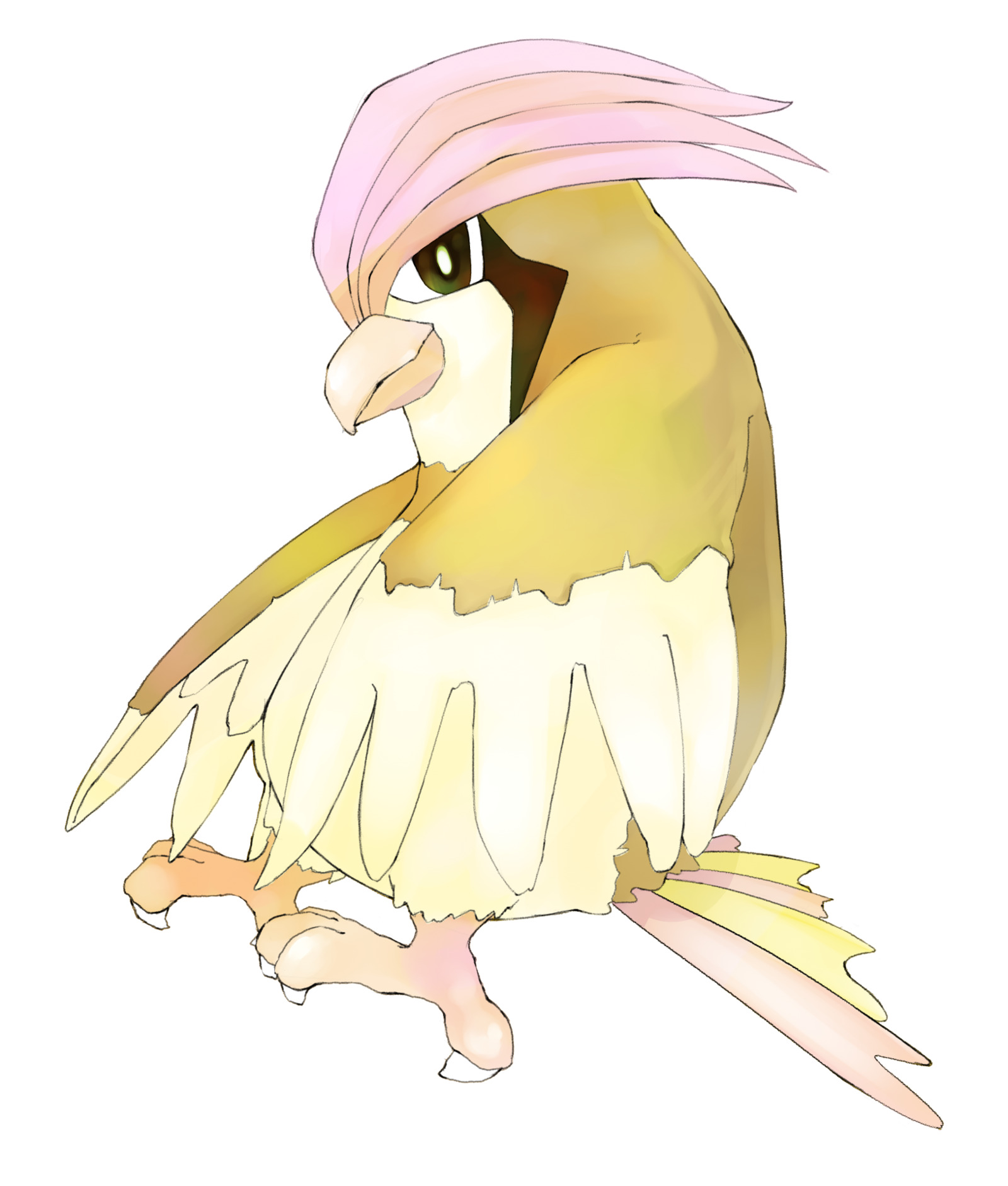 ピジョン